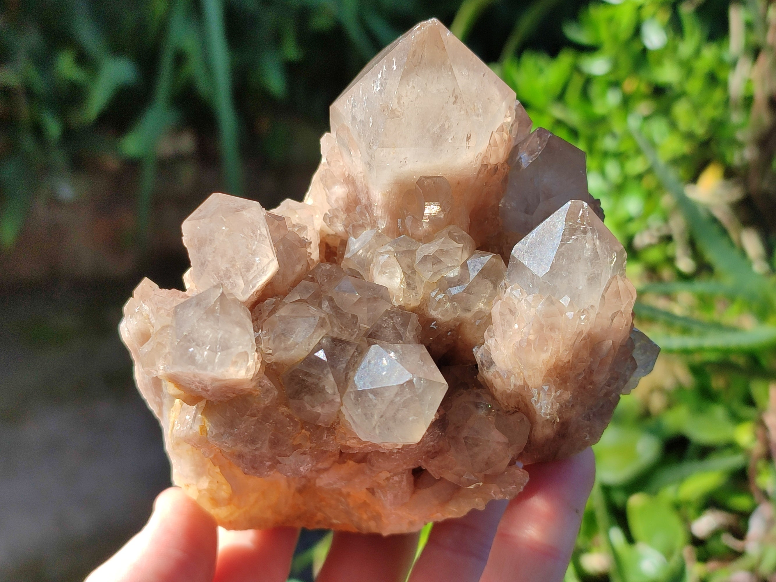 Natural Smokey Phantom Quartz Cluster x 3 From Luena, Congo - Toprock Gemstones and Minerals 