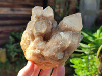 Natural Smokey Phantom Quartz Cluster x 3 From Luena, Congo
