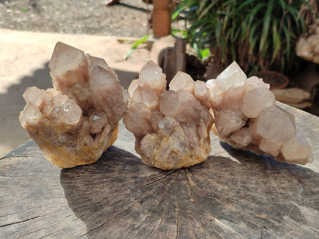Natural Smokey Phantom Quartz Cluster x 3 From Luena, Congo - Toprock Gemstones and Minerals 