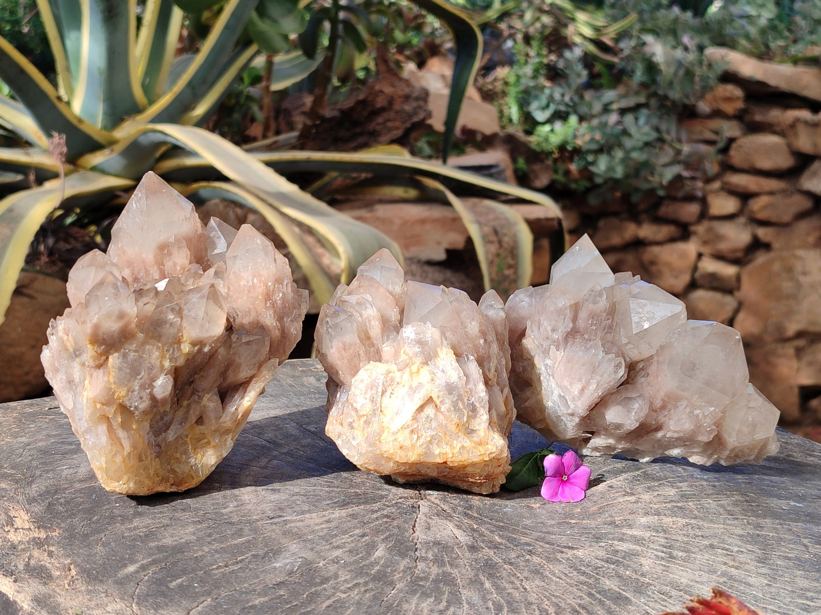 Natural Smokey Phantom Quartz Cluster x 3 From Luena, Congo - Toprock Gemstones and Minerals 