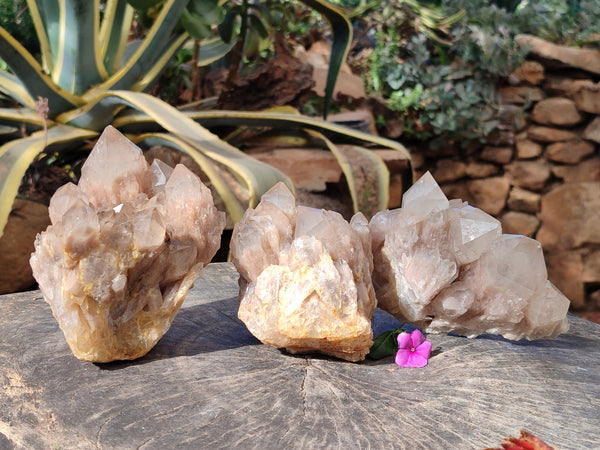 Natural Smokey Phantom Quartz Cluster x 3 From Luena, Congo