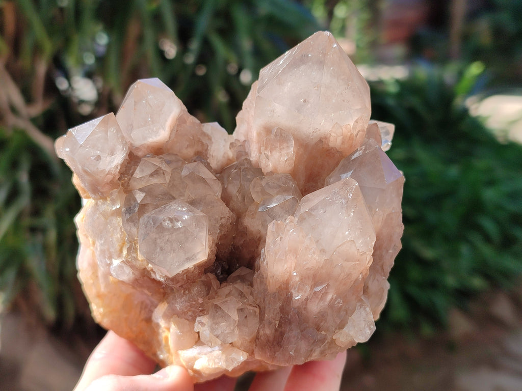Natural Smokey Phantom Quartz Cluster x 3 From Luena, Congo - Toprock Gemstones and Minerals 