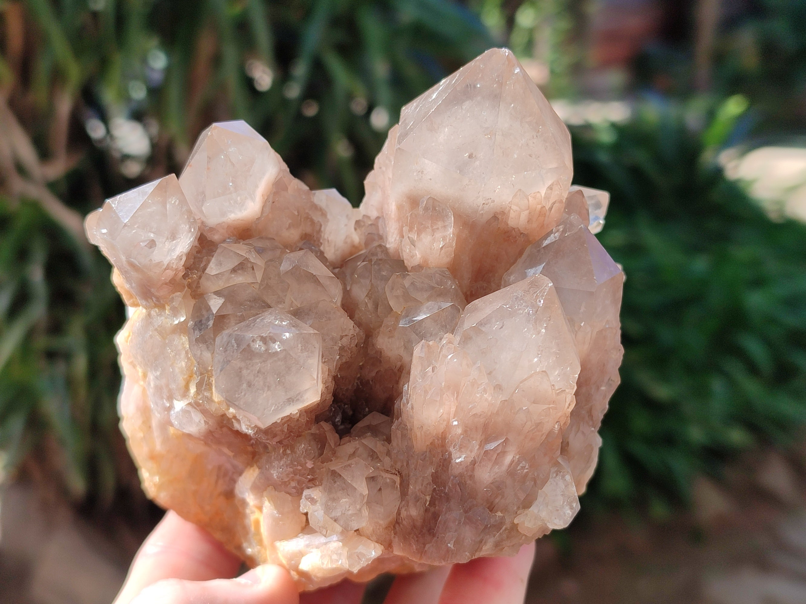 Natural Smokey Phantom Quartz Cluster x 3 From Luena, Congo - Toprock Gemstones and Minerals 