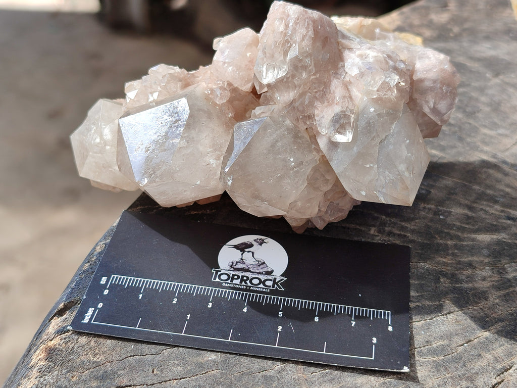Natural Smokey Phantom Quartz Cluster x 3 From Luena, Congo - Toprock Gemstones and Minerals 