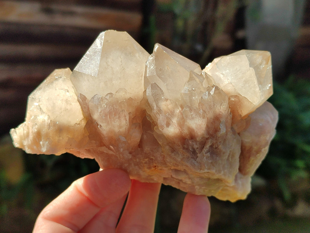 Natural Smokey Phantom Quartz Cluster x 3 From Luena, Congo - Toprock Gemstones and Minerals 