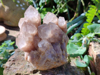 Natural Smokey Phantom Quartz Cluster x 3 From Luena, Congo