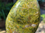 Polished Green Opal Standing Free Forms x 3 From Betroka, Madagascar - Toprock Gemstones and Minerals 