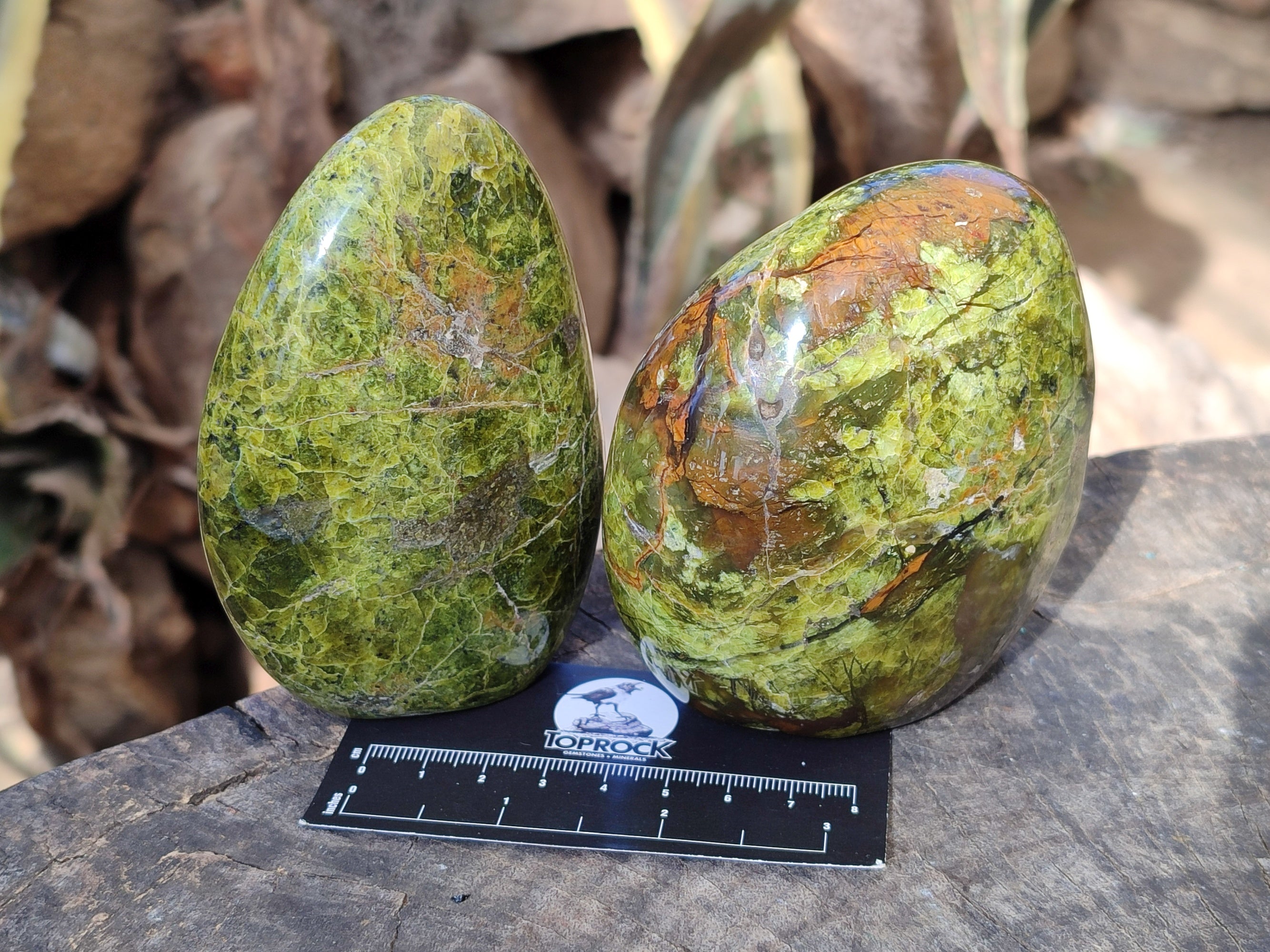Polished Green Opal Standing Free Forms x 3 From Betroka, Madagascar - Toprock Gemstones and Minerals 