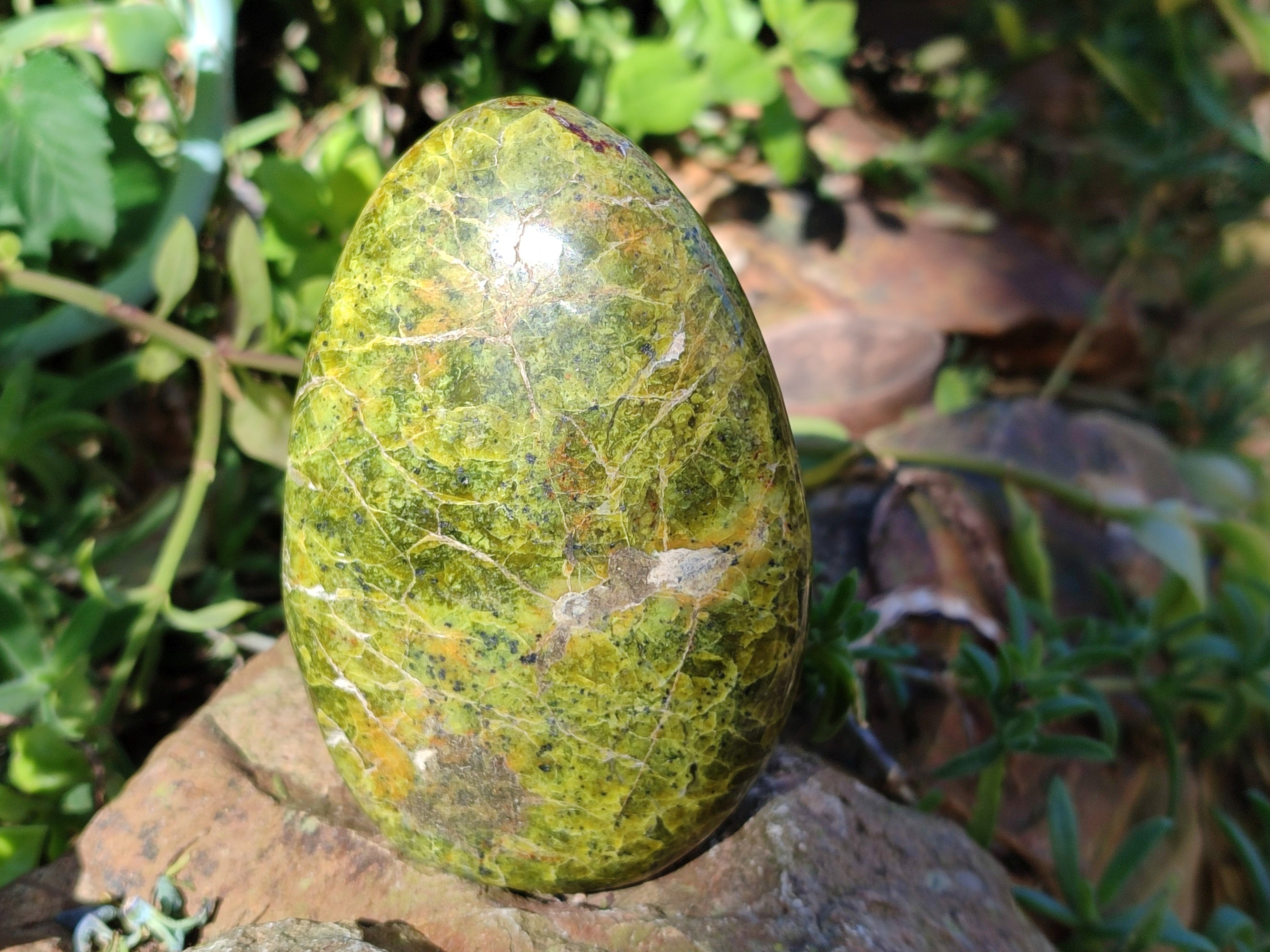 Polished Green Opal Standing Free Forms x 3 From Betroka, Madagascar - Toprock Gemstones and Minerals 
