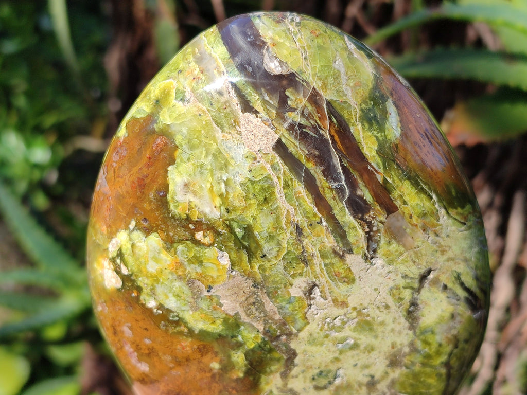 Polished Green Opal Standing Free Forms x 3 From Betroka, Madagascar - Toprock Gemstones and Minerals 