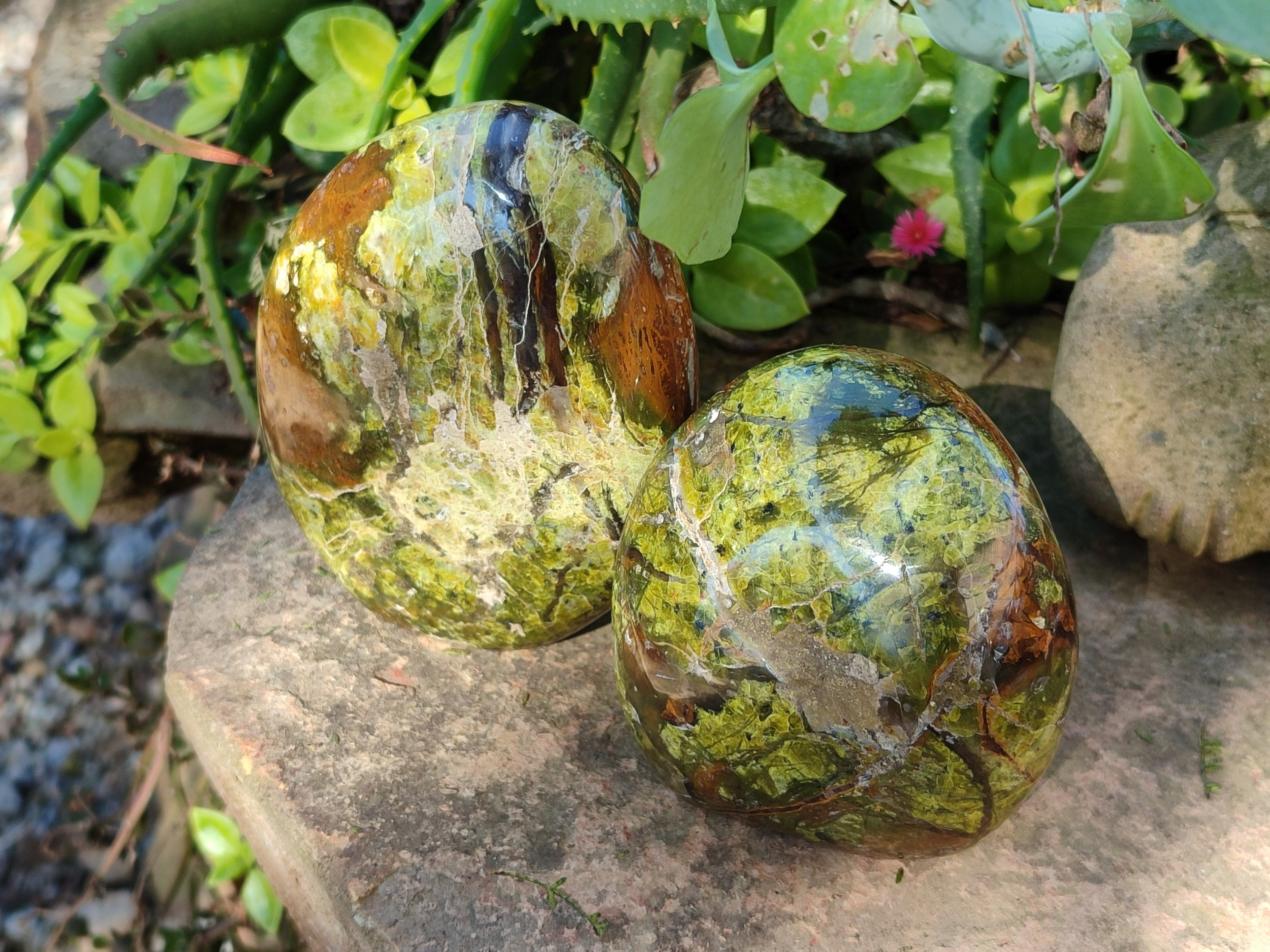Polished Green Opal Standing Free Forms x 3 From Betroka, Madagascar - Toprock Gemstones and Minerals 