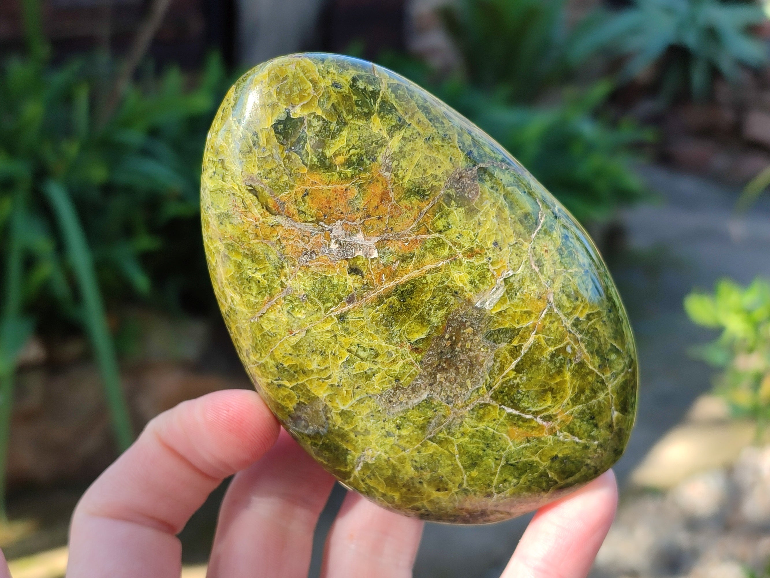 Polished Green Opal Standing Free Forms x 3 From Betroka, Madagascar - Toprock Gemstones and Minerals 