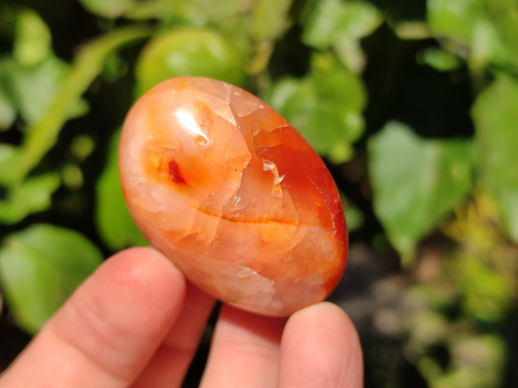 Polished Carnelian Palm Stones x 24 From Madagascar - Toprock Gemstones and Minerals 
