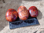 Polished Carnelian Palm Stones x 24 From Madagascar - Toprock Gemstones and Minerals 
