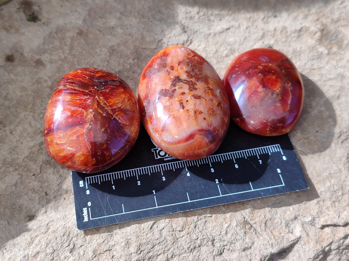 Polished Carnelian Palm Stones x 24 From Madagascar - Toprock Gemstones and Minerals 