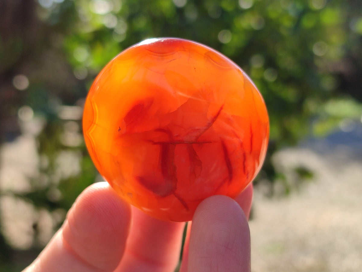 Polished Carnelian Palm Stones x 24 From Madagascar - Toprock Gemstones and Minerals 