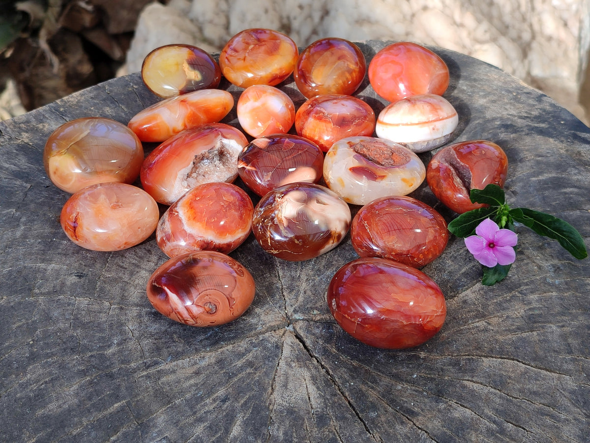 Polished Carnelian Palm Stones x 24 From Madagascar - Toprock Gemstones and Minerals 