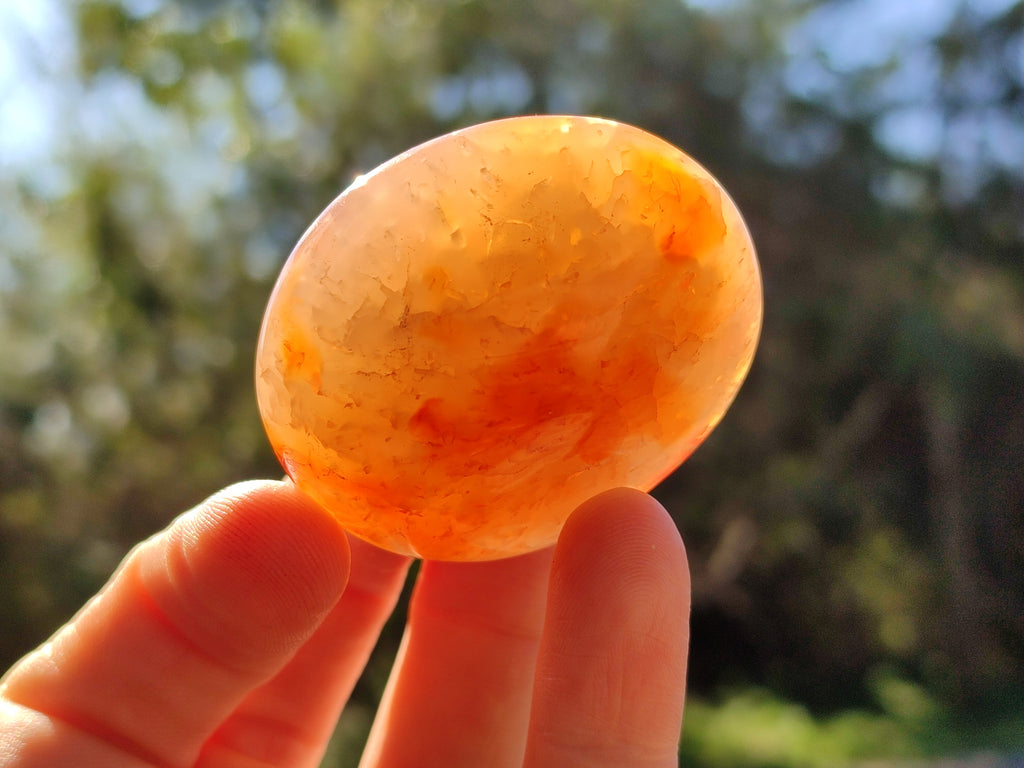 Polished Carnelian Palm Stones x 24 From Madagascar - Toprock Gemstones and Minerals 