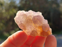 Natural Amethyst Spirit Quartz Clusters x 35 From Boekenhouthoek, South Africa - Toprock Gemstones and Minerals 