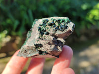 Natural Libethenite Crystals On Dolomite Matrix Specimens x 6 From Shituru, Congo
