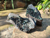 Natural Libethenite Crystals On Dolomite Matrix Specimens x 6 From Shituru, Congo