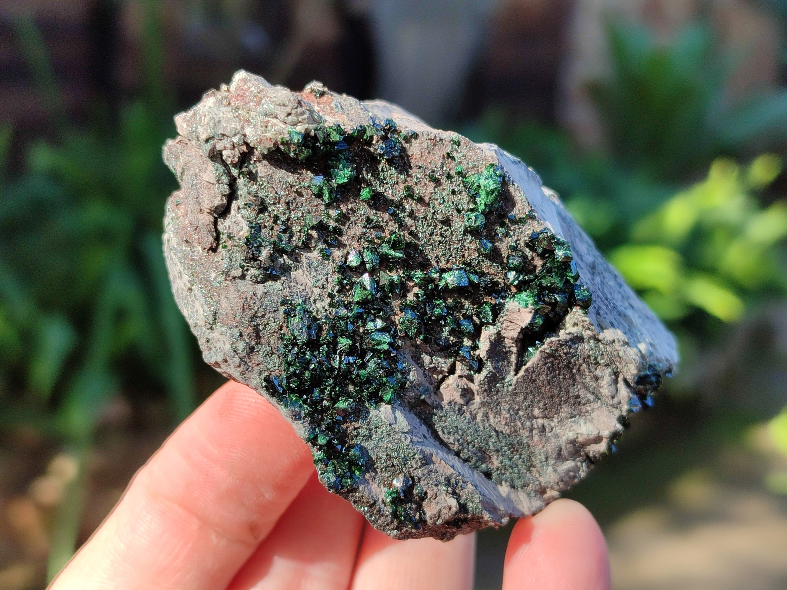 Natural Libethenite Crystals On Dolomite Matrix Specimens x 6 From Shituru, Congo - Toprock Gemstones and Minerals 