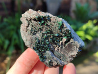 Natural Libethenite Crystals On Dolomite Matrix Specimens x 6 From Shituru, Congo