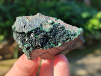 Natural Libethenite Crystals On Dolomite Matrix Specimens x 6 From Shituru, Congo