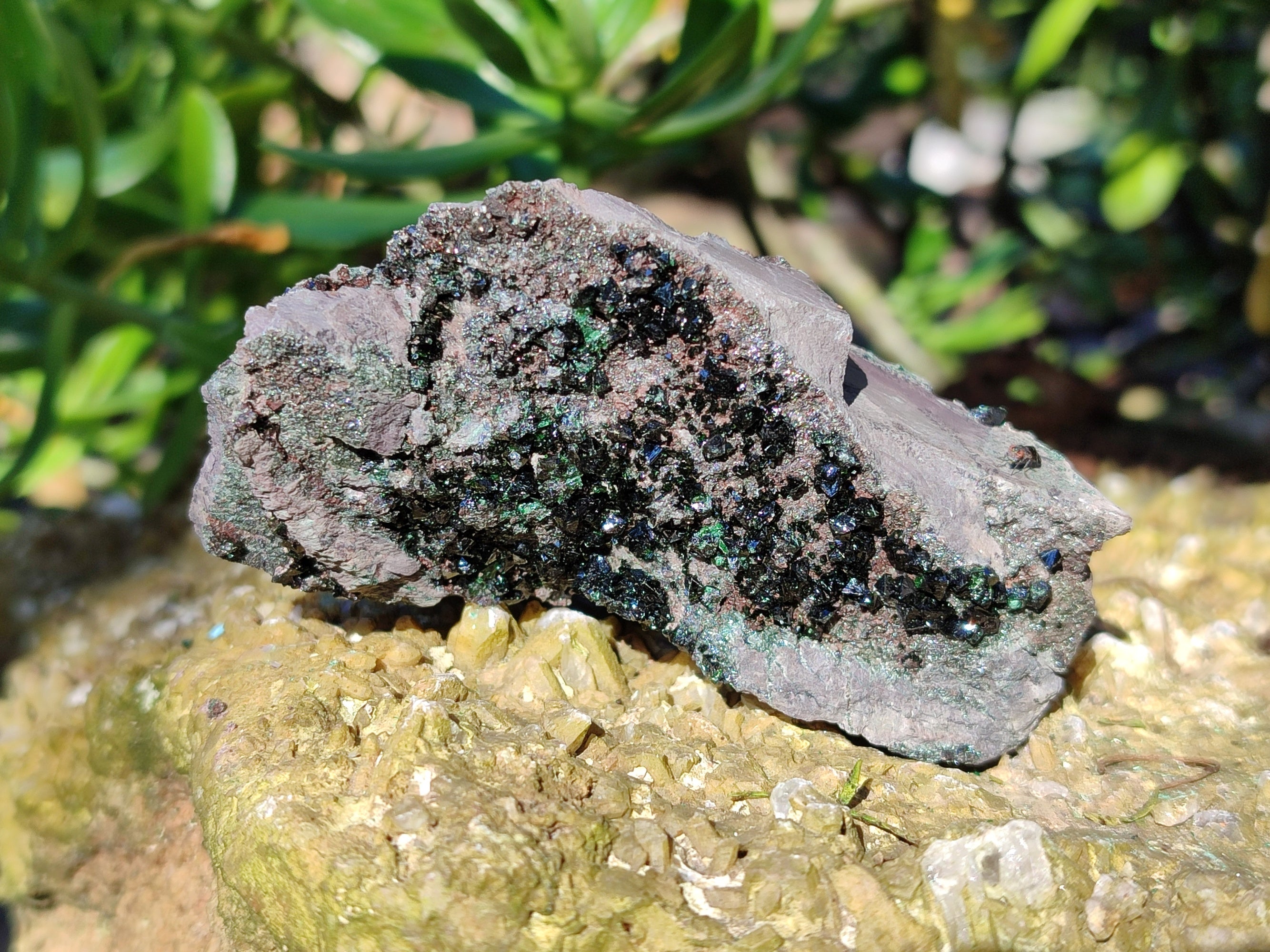 Natural Libethenite Crystals On Dolomite Matrix Specimens x 6 From Shituru, Congo - Toprock Gemstones and Minerals 
