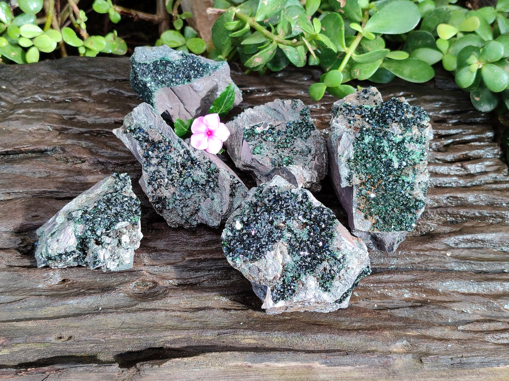 Natural Libethenite Crystals On Dolomite Matrix Specimens x 6 From Shituru, Congo - Toprock Gemstones and Minerals 