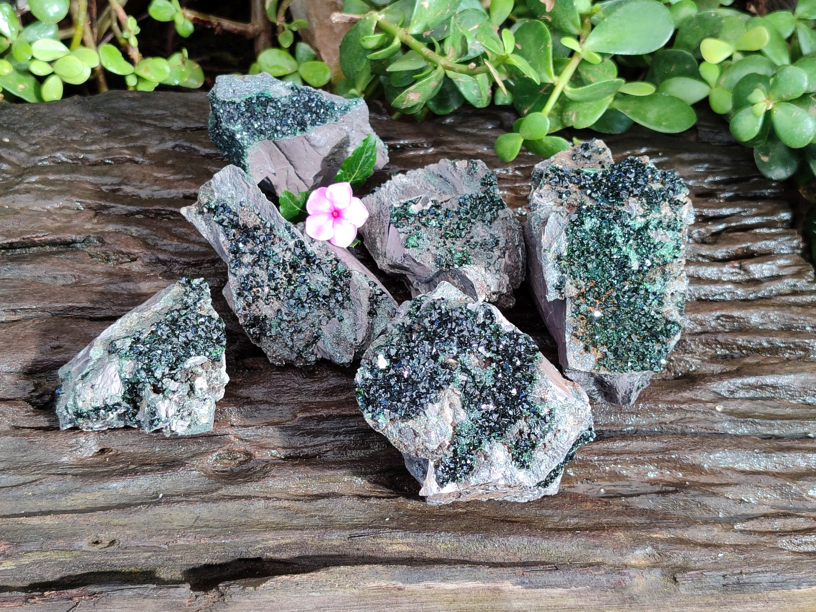 Natural Libethenite Crystals On Dolomite Matrix Specimens x 6 From Shituru, Congo - Toprock Gemstones and Minerals 