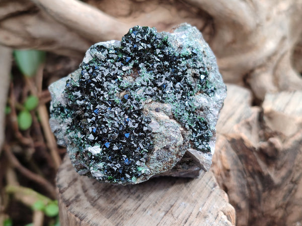 Natural Libethenite Crystals On Dolomite Matrix Specimens x 6 From Shituru, Congo
