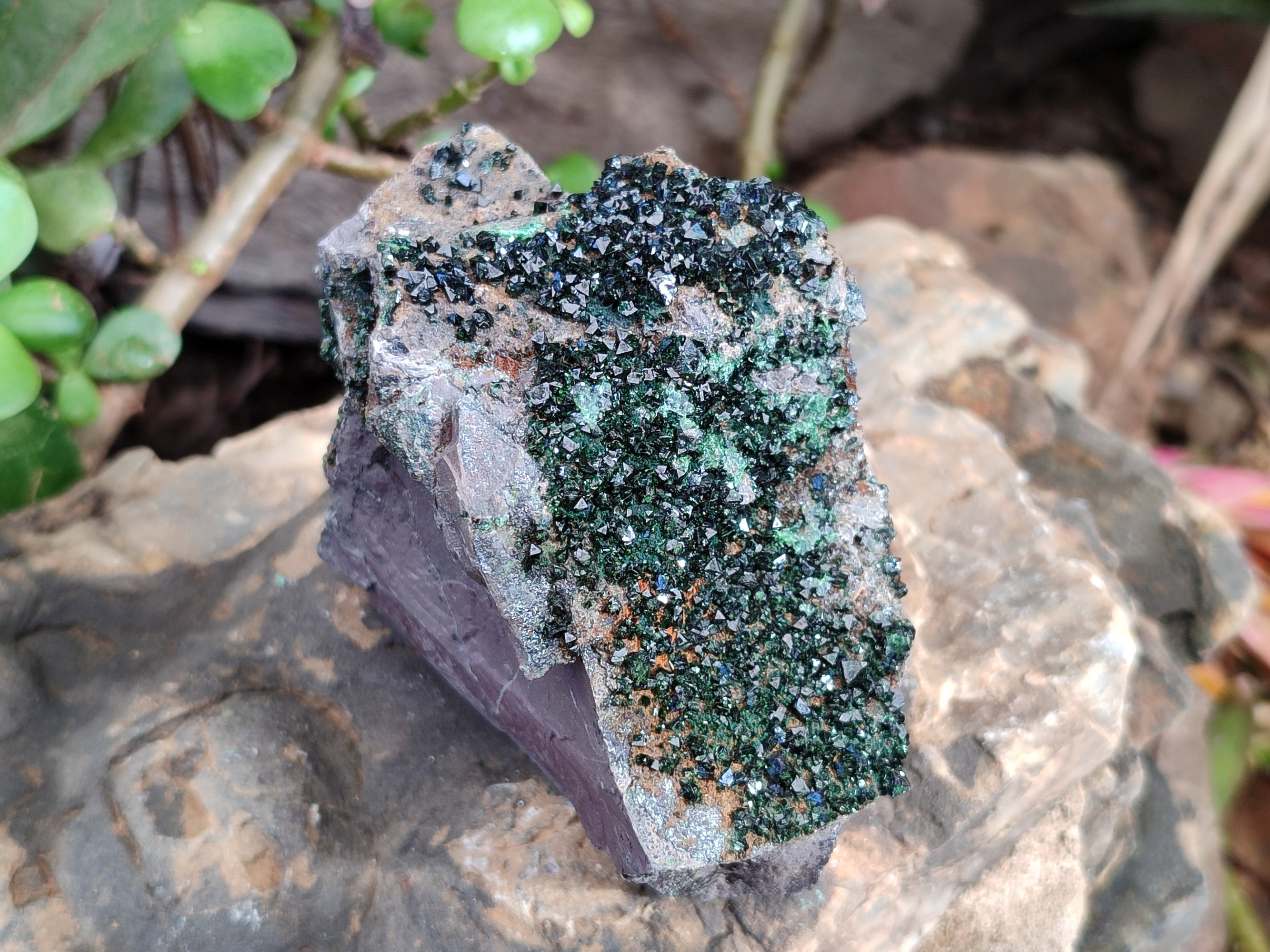 Natural Libethenite Crystals On Dolomite Matrix Specimens x 6 From Shituru, Congo - Toprock Gemstones and Minerals 