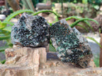 Natural Libethenite Crystals On Dolomite Matrix Specimens x 6 From Shituru, Congo - Toprock Gemstones and Minerals 