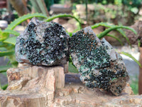 Natural Libethenite Crystals On Dolomite Matrix Specimens x 6 From Shituru, Congo