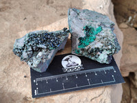 Natural Libethenite Crystals On Dolomite Matrix Specimens x 6 From Shituru, Congo
