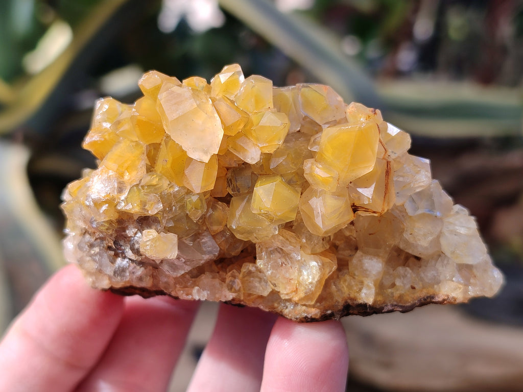 Natural Limonite Quartz Clusters x 12 From Solwezi, Zambia - Toprock Gemstones and Minerals 