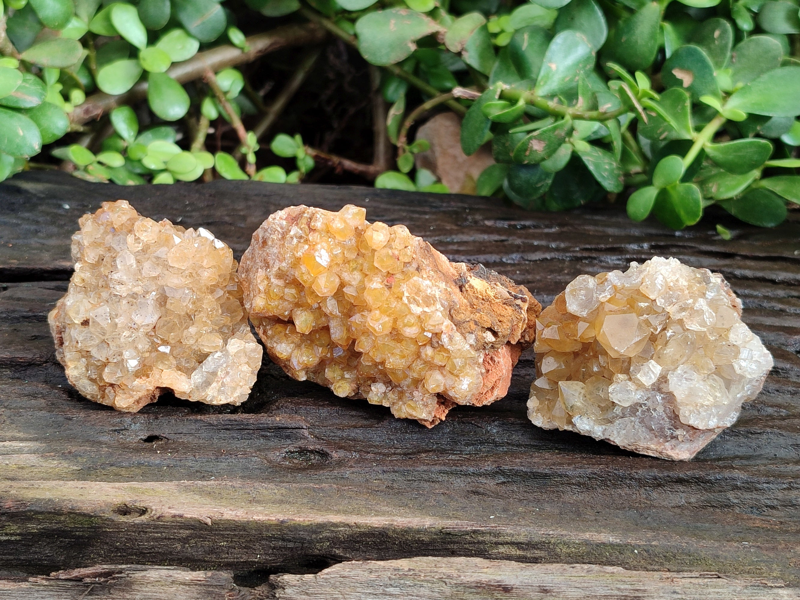 Natural Limonite Quartz Clusters x 12 From Solwezi, Zambia - Toprock Gemstones and Minerals 