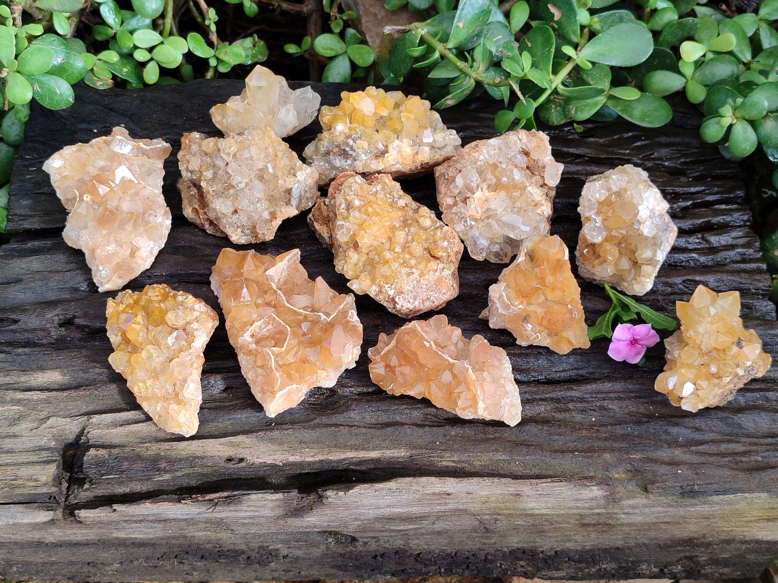 Natural Limonite Quartz Clusters x 12 From Solwezi, Zambia - Toprock Gemstones and Minerals 
