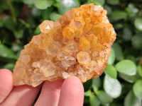 Natural Limonite Quartz Clusters x 12 From Solwezi, Zambia