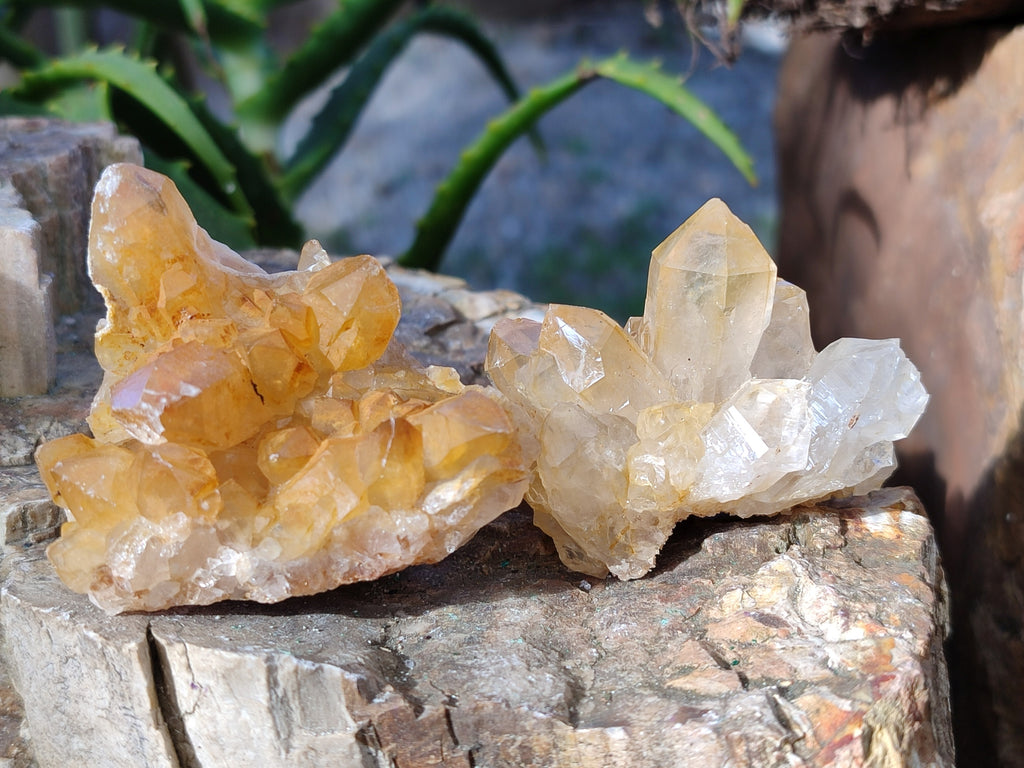 Natural Limonite Quartz Clusters x 12 From Solwezi, Zambia - Toprock Gemstones and Minerals 