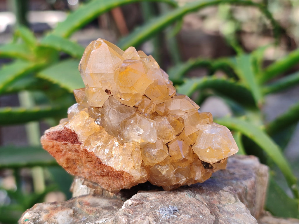 Natural Limonite Quartz Clusters x 12 From Solwezi, Zambia - Toprock Gemstones and Minerals 