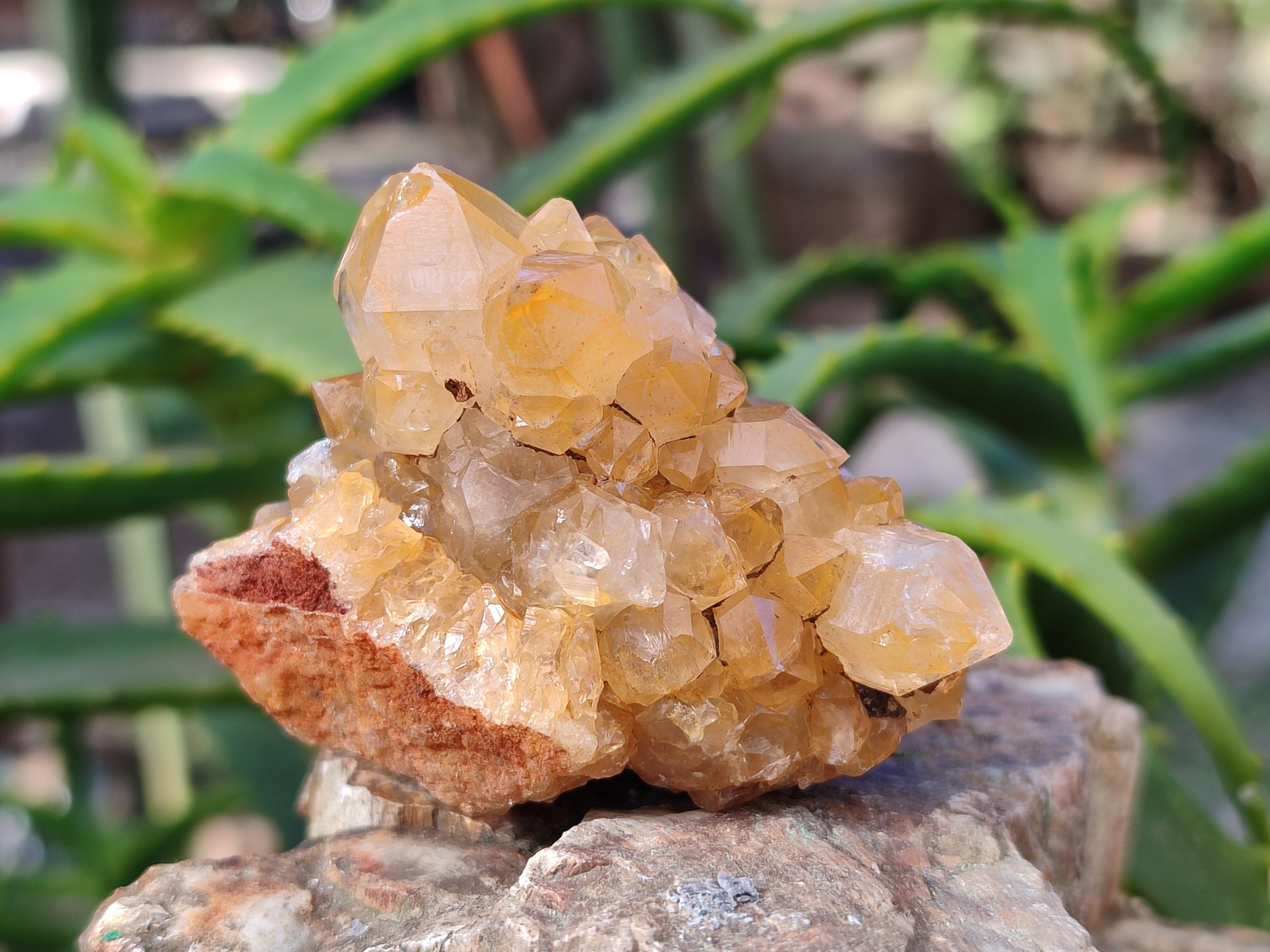 Natural Limonite Quartz Clusters x 12 From Solwezi, Zambia - Toprock Gemstones and Minerals 