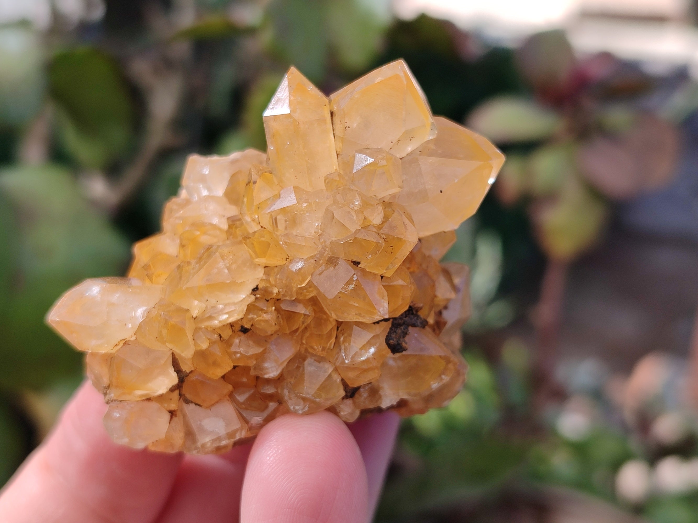 Natural Limonite Quartz Clusters x 12 From Solwezi, Zambia - Toprock Gemstones and Minerals 