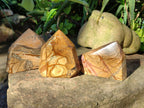 Polished Picture Stone Jasper Points x 3 From Ais-Ais, Namibia - Toprock Gemstones and Minerals 