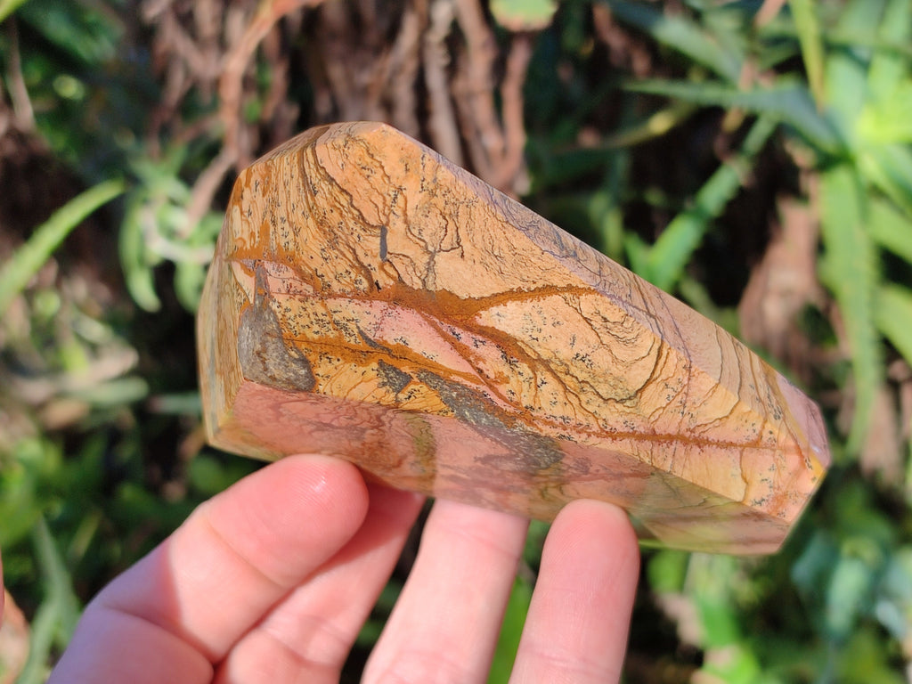 Polished Picture Stone Jasper Points x 3 From Ais-Ais, Namibia - Toprock Gemstones and Minerals 