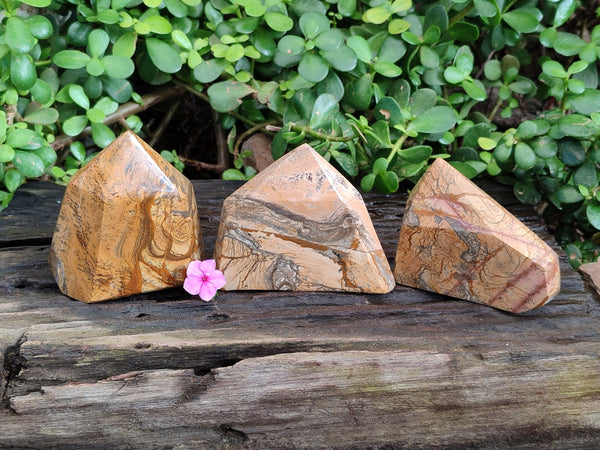 Polished Picture Stone Jasper Points x 3 From Ais-Ais, Namibia