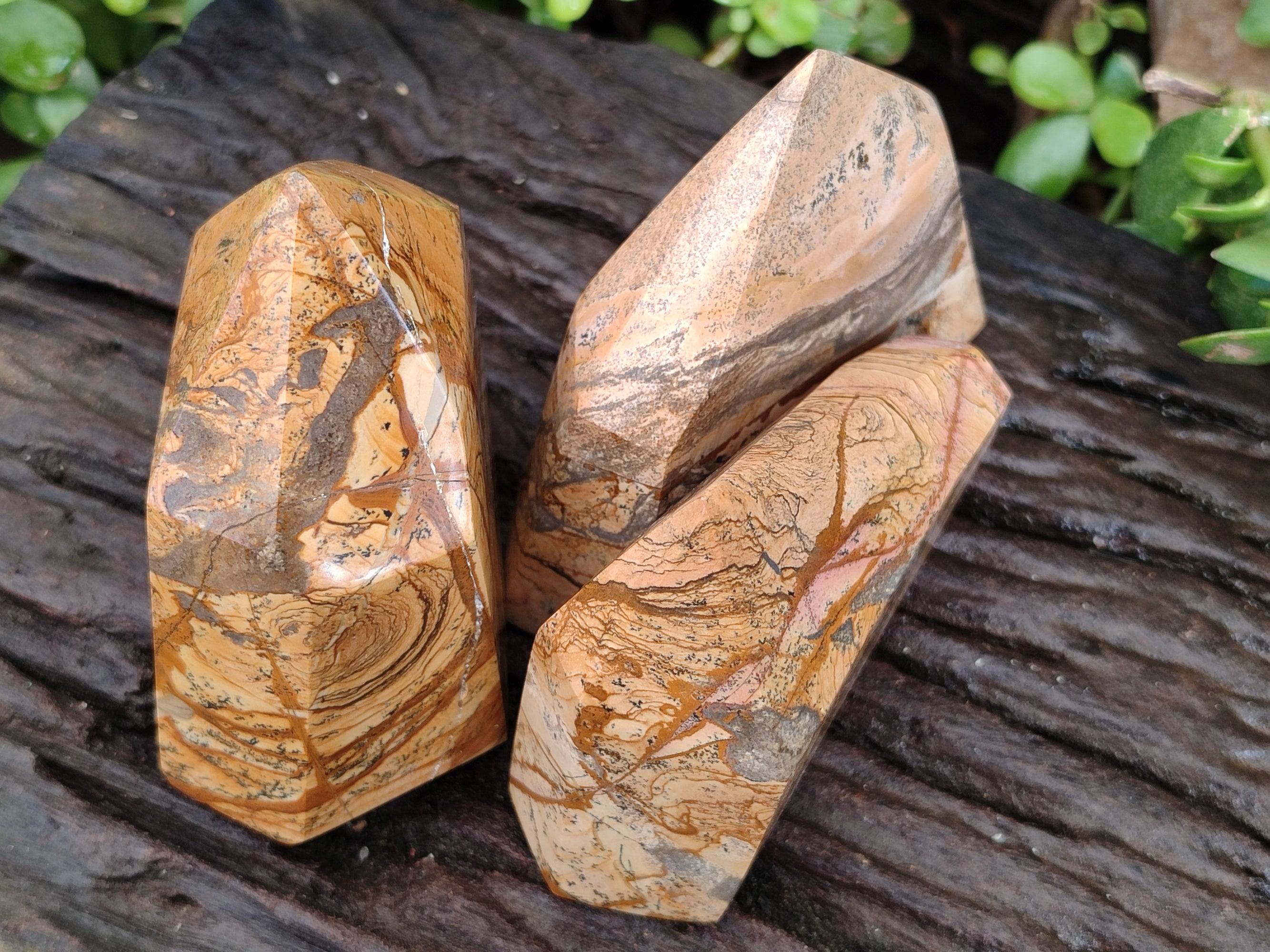Polished Picture Stone Jasper Points x 3 From Ais-Ais, Namibia - Toprock Gemstones and Minerals 