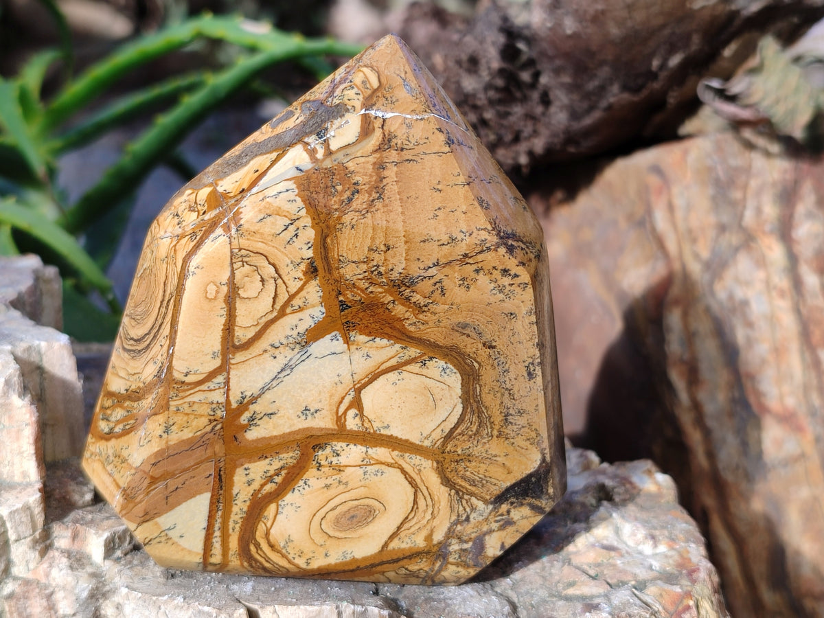 Polished Picture Stone Jasper Points x 3 From Ais-Ais, Namibia - Toprock Gemstones and Minerals 