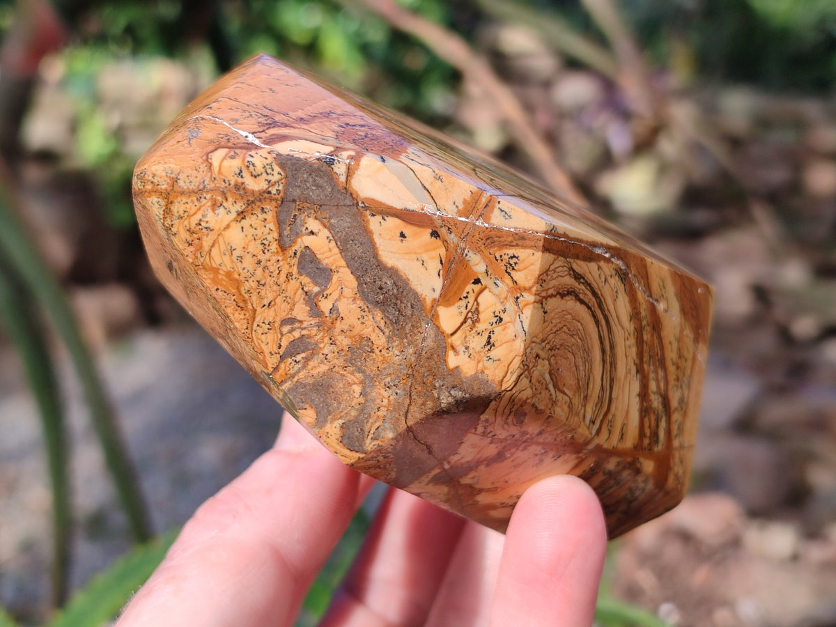 Polished Picture Stone Jasper Points x 3 From Ais-Ais, Namibia - Toprock Gemstones and Minerals 